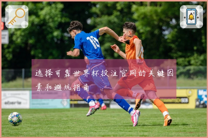 选择可靠世界杯投注官网的关键因素和避坑指南