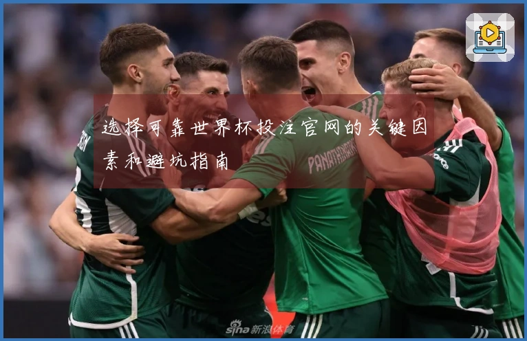 选择可靠世界杯投注官网的关键因素和避坑指南