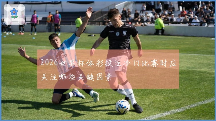 2026世界杯体彩投注冷门比赛时应关注哪些关键因素